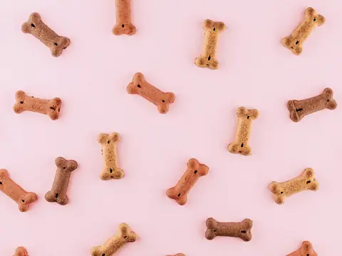 Bone-shaped dog treats on a light background